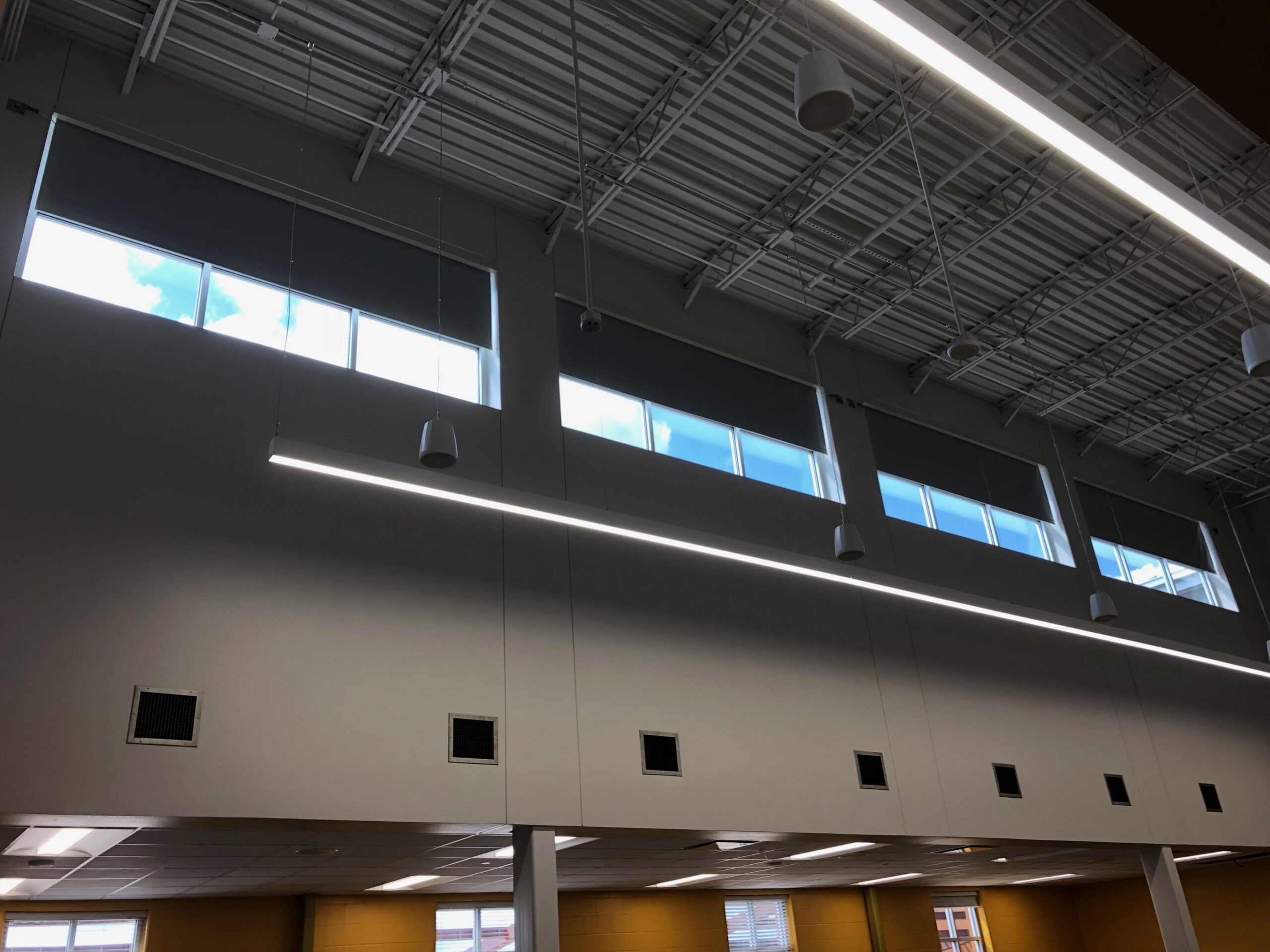 Blackout Roller Shades Library