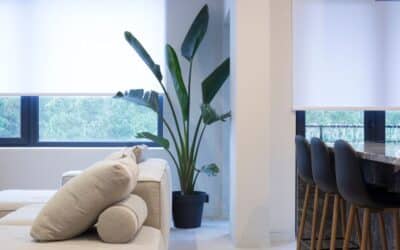 How to Choose Roller Shades for Energy Efficiency